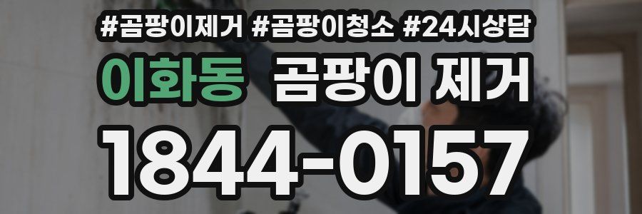 이화동 곰팡이 제거