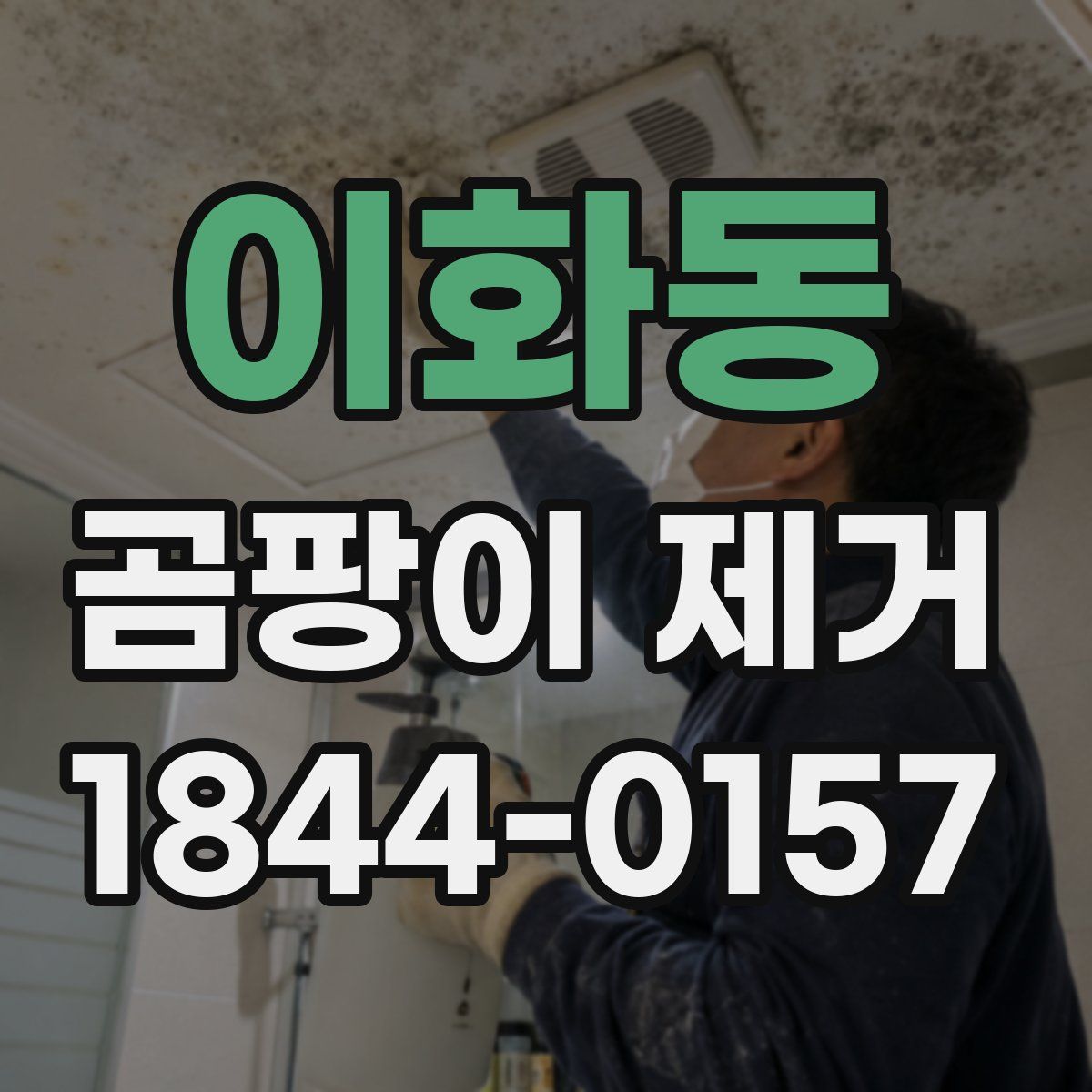 이화동 곰팡이 제거