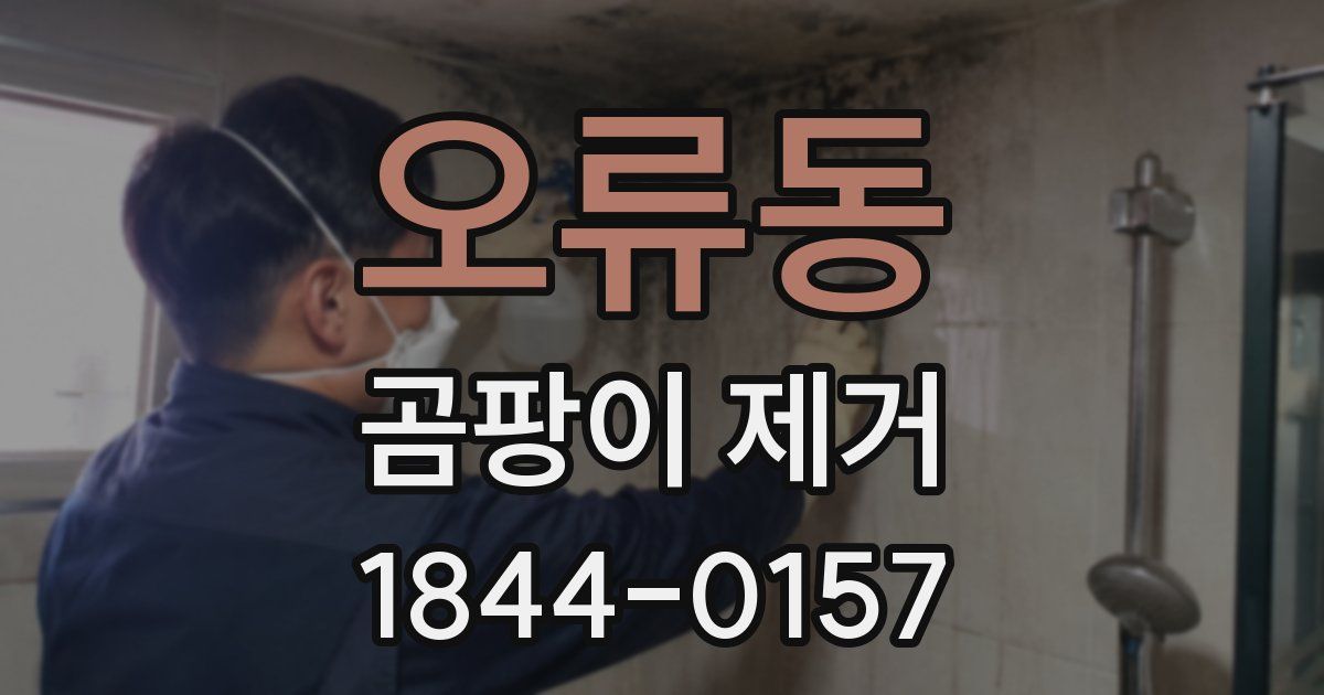 오류동 곰팡이 제거