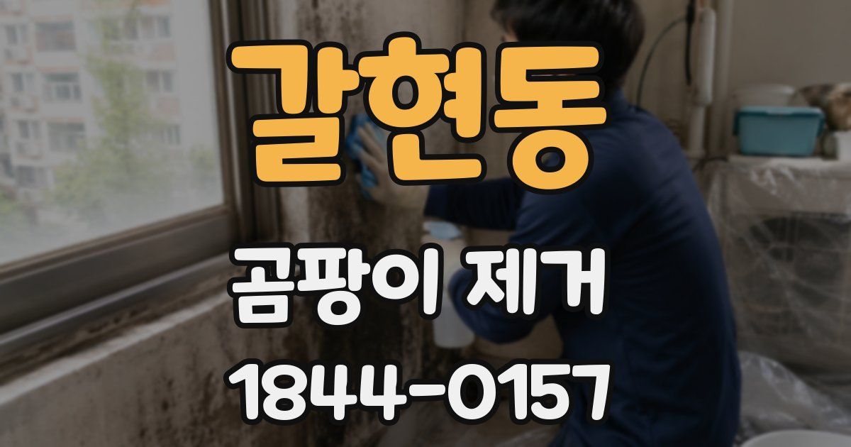 갈현동 곰팡이 제거