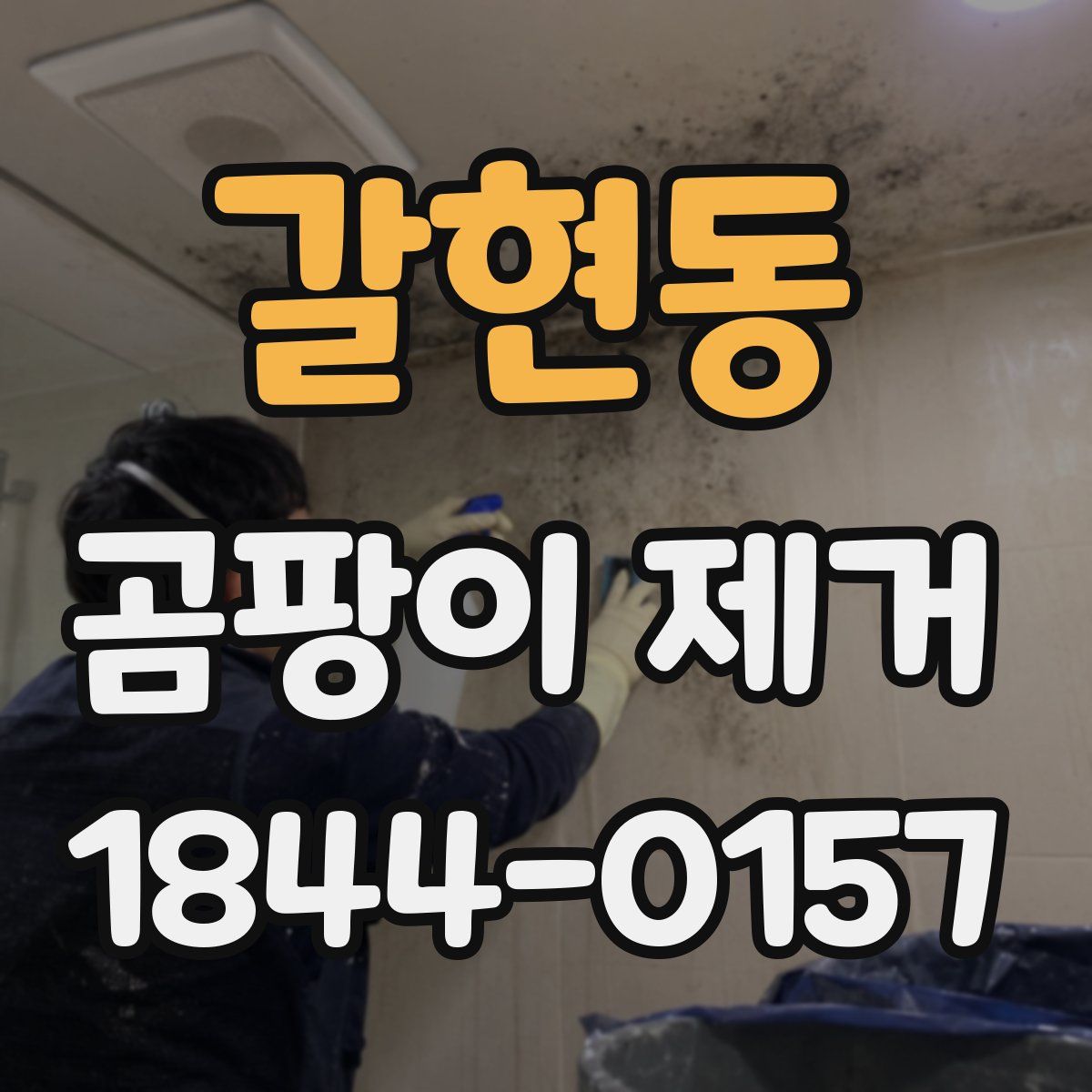 갈현동 곰팡이 제거