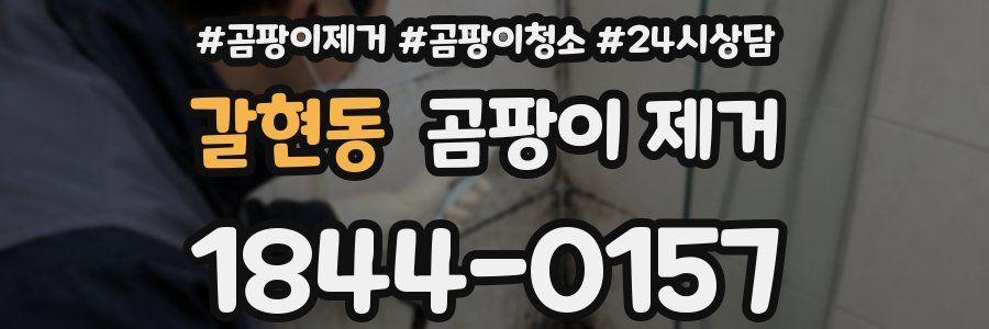 갈현동 곰팡이 제거