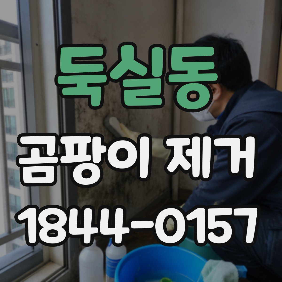 둑실동 곰팡이 제거