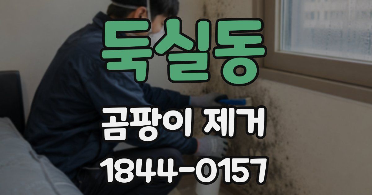 둑실동 곰팡이 제거
