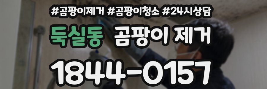 둑실동 곰팡이 제거