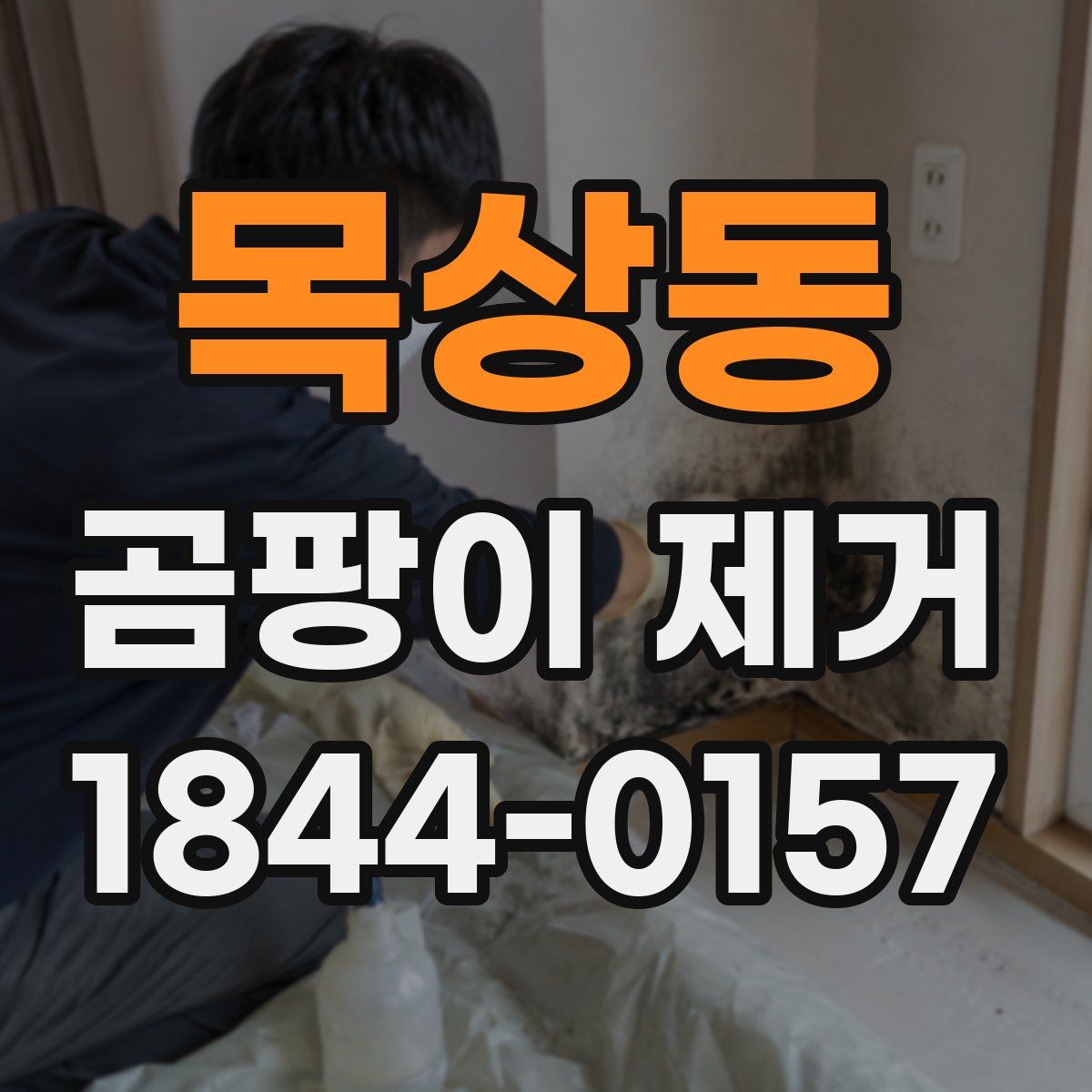 목상동 곰팡이 제거