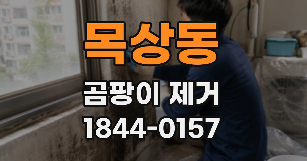목상동 곰팡이 제거