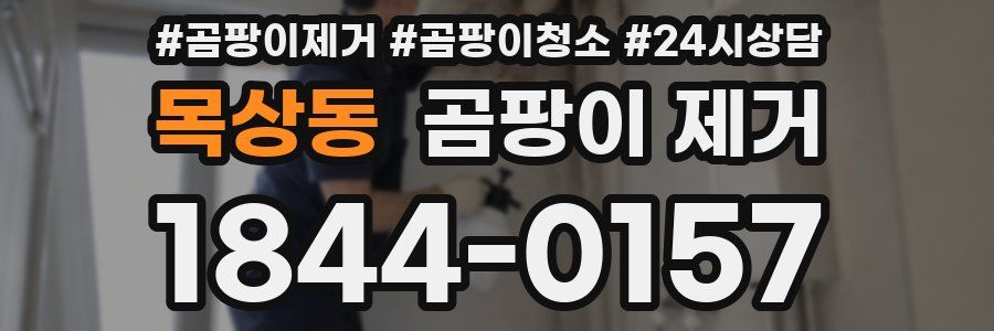 목상동 곰팡이 제거