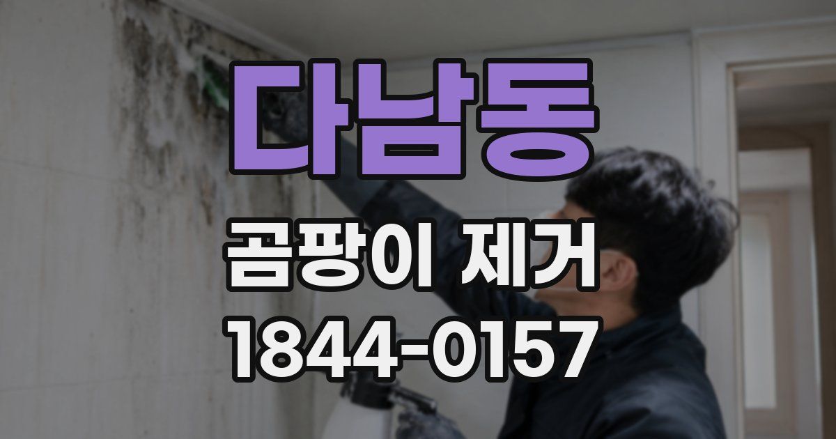 다남동 곰팡이 제거