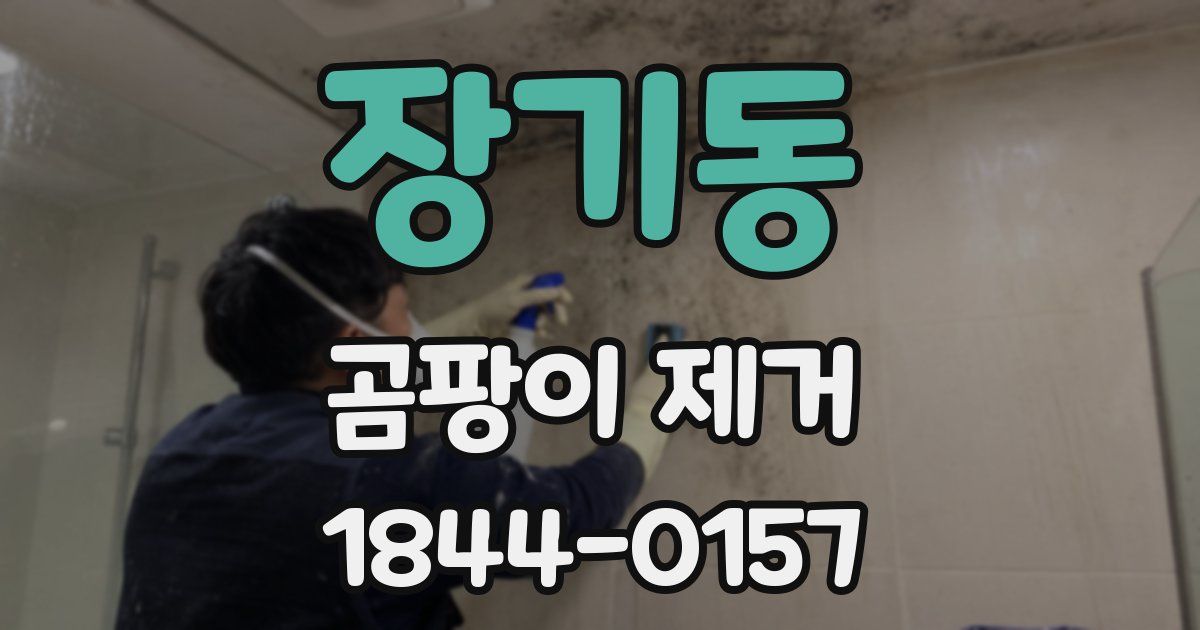 장기동 곰팡이 제거