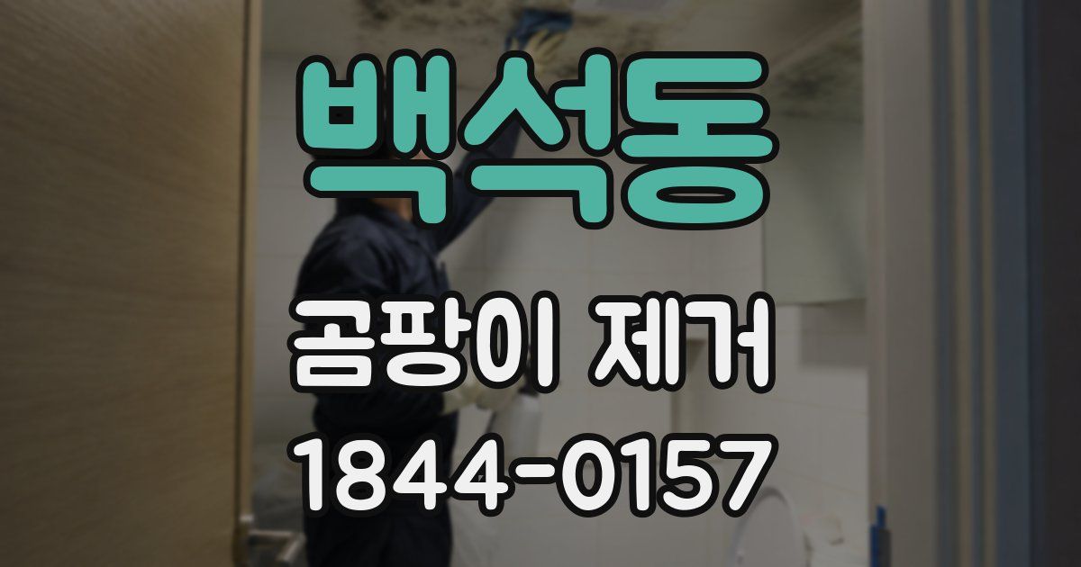 백석동 곰팡이 제거