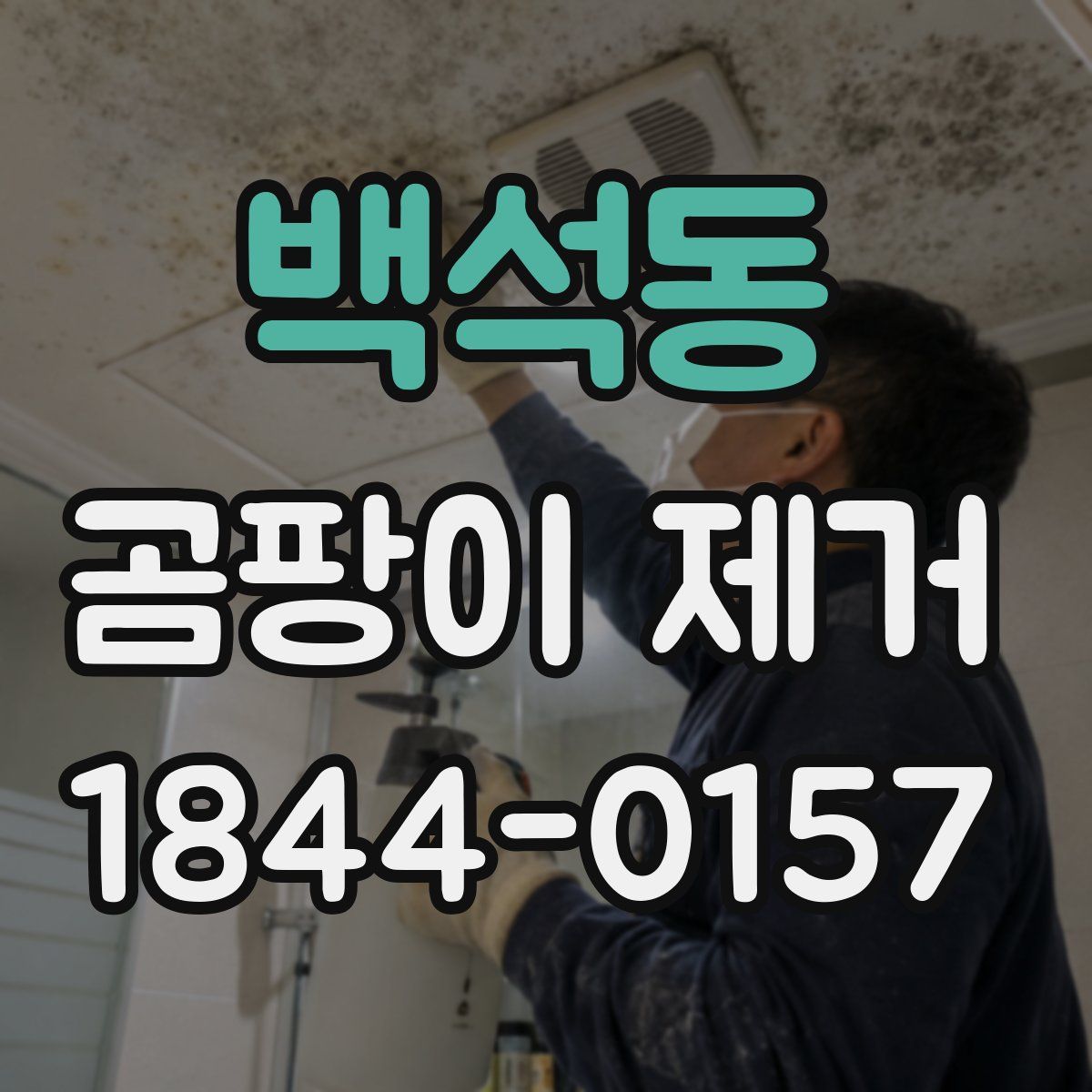 백석동 곰팡이 제거