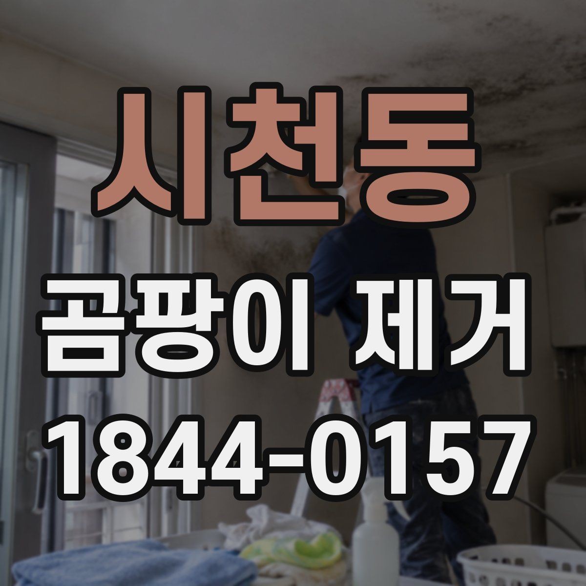 시천동 곰팡이 제거 원룸 생활에서 놓치기 쉬운 구석들