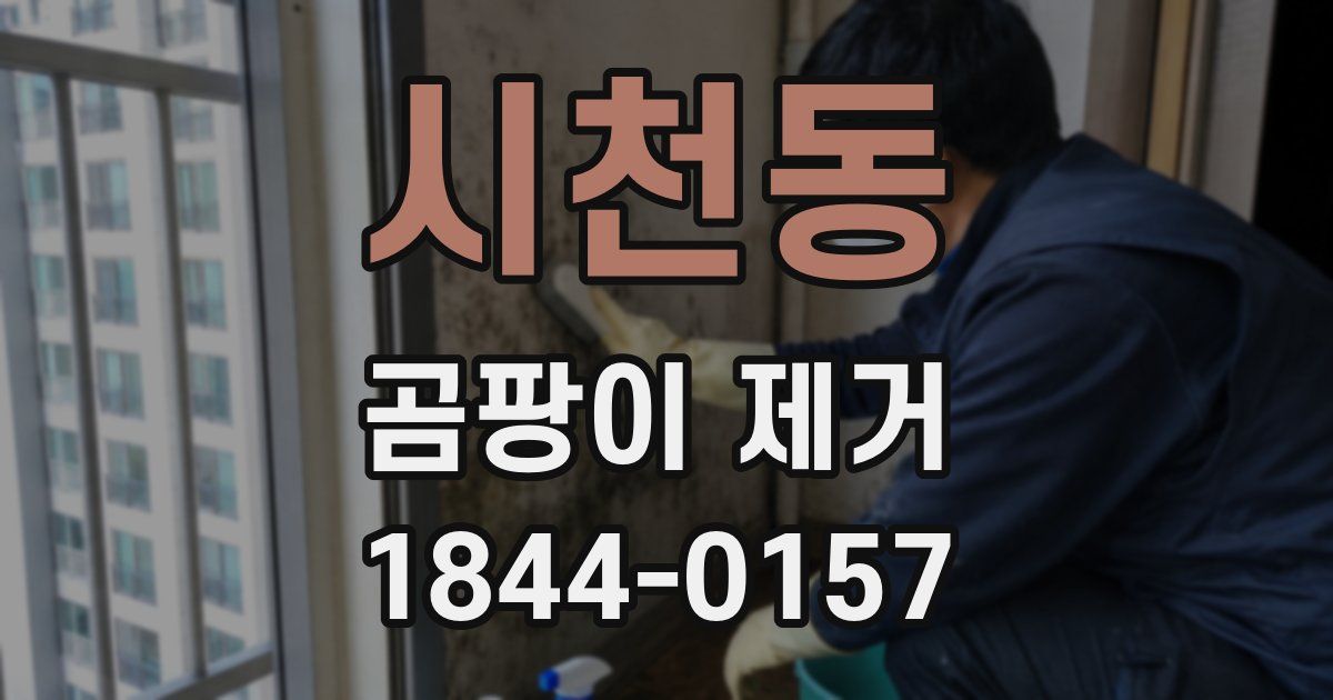 시천동 곰팡이 제거