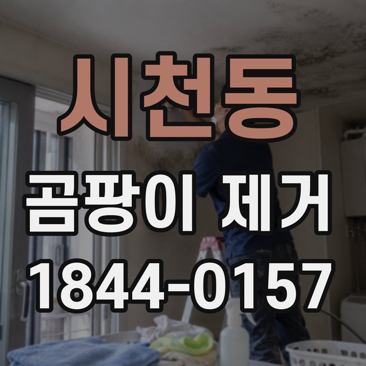 시천동 곰팡이 제거