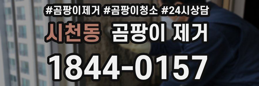 시천동 곰팡이 제거