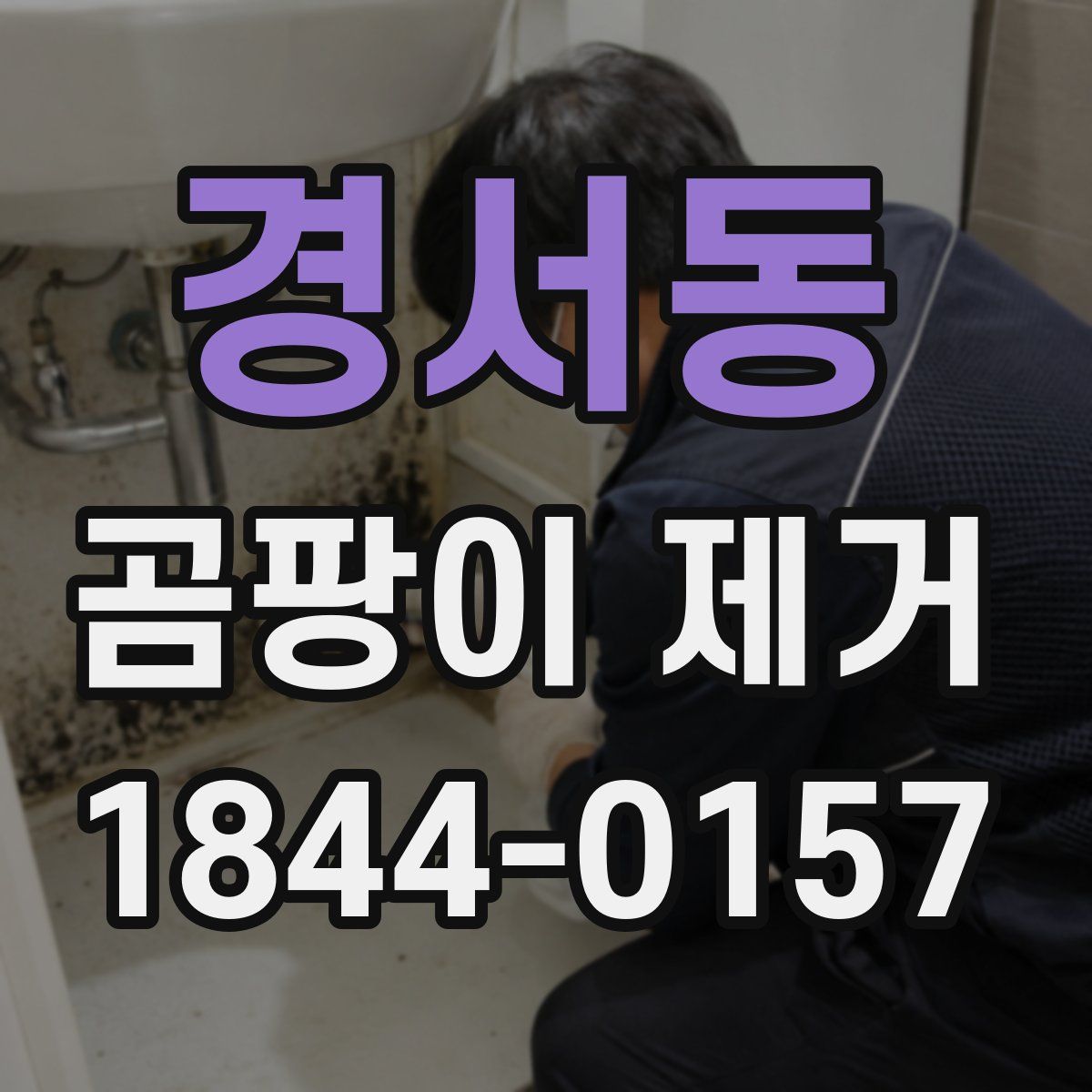 경서동 곰팡이 제거