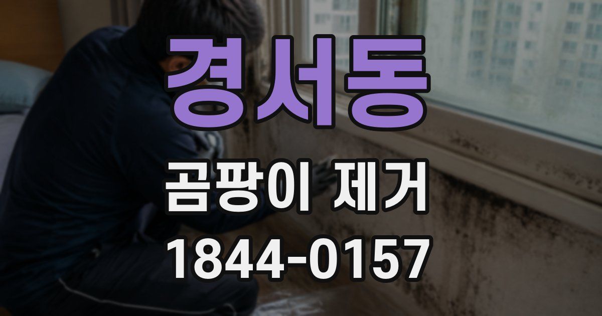 경서동 곰팡이 제거