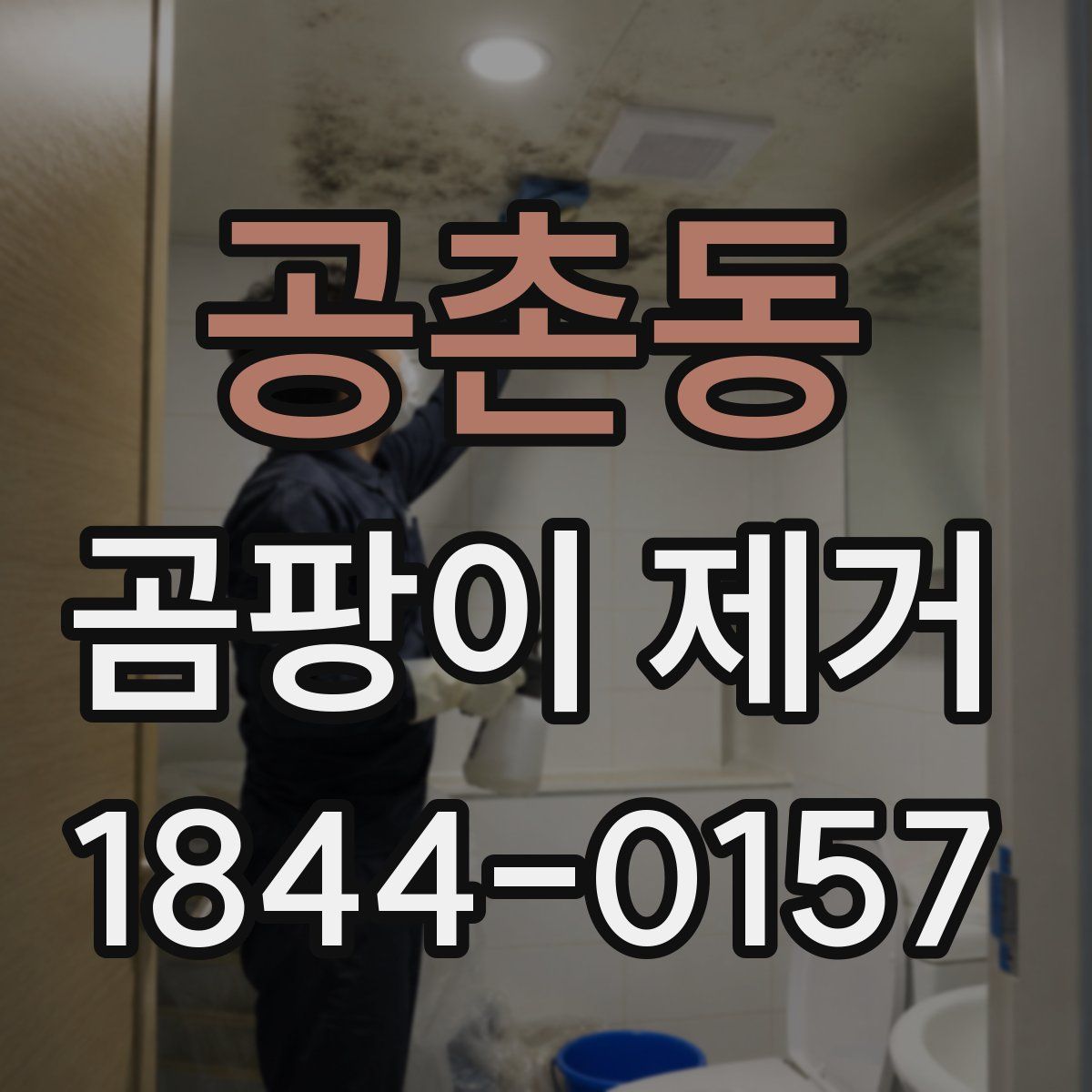 공촌동 곰팡이 제거