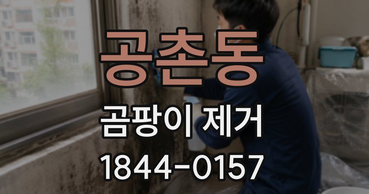 공촌동 곰팡이 제거