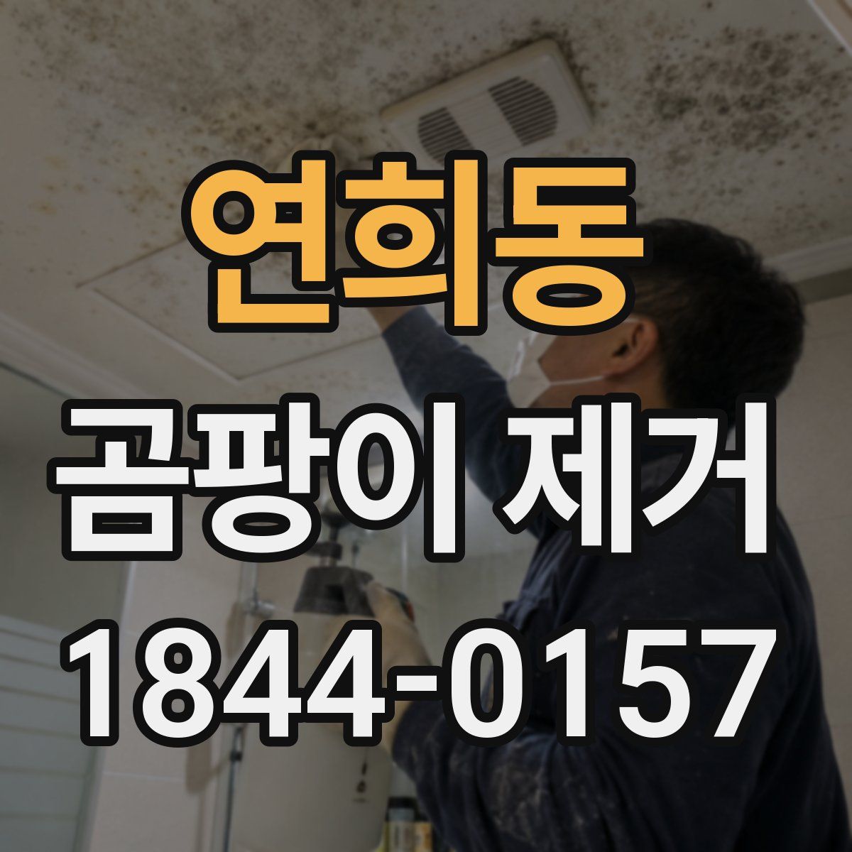 연희동 곰팡이 제거