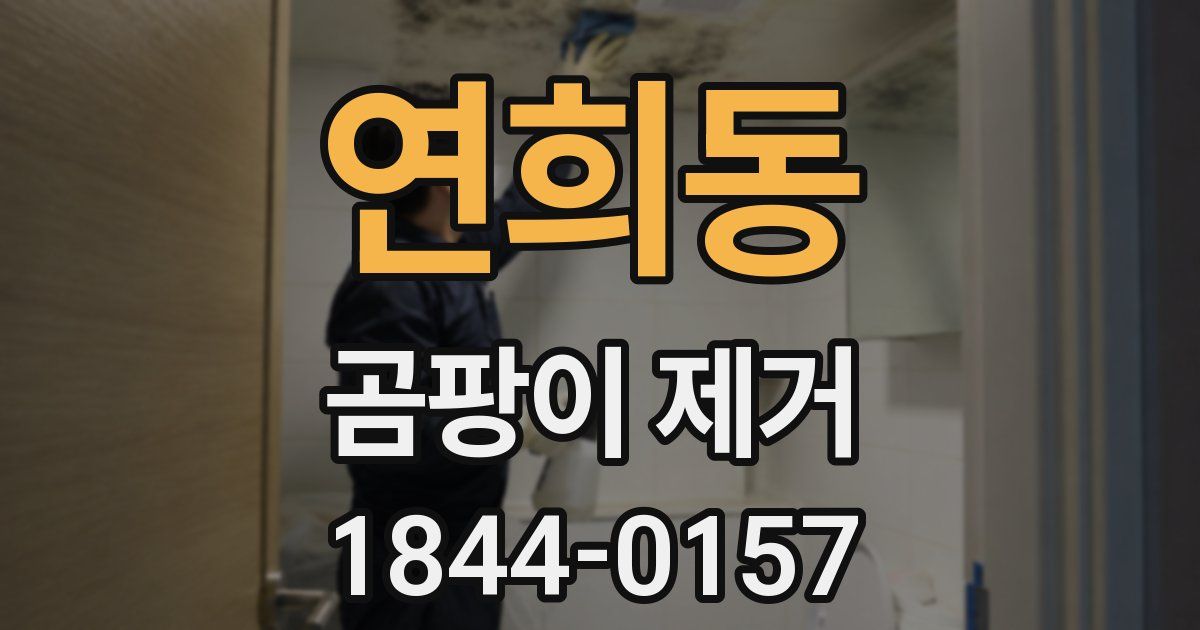 연희동 곰팡이 제거