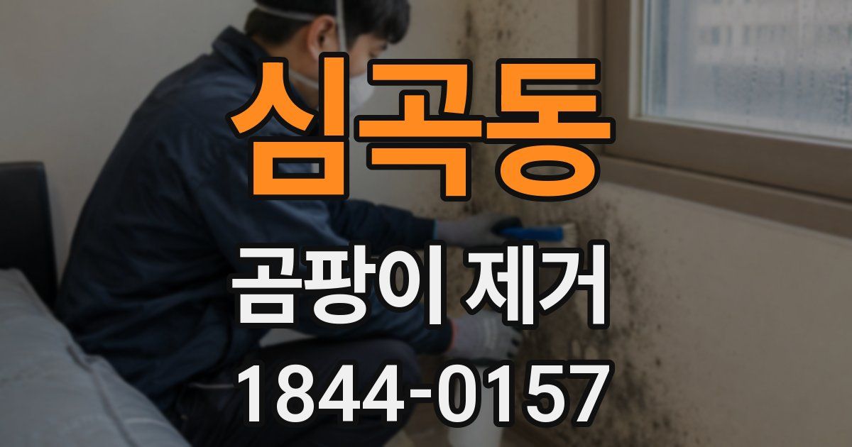 심곡동 곰팡이 제거