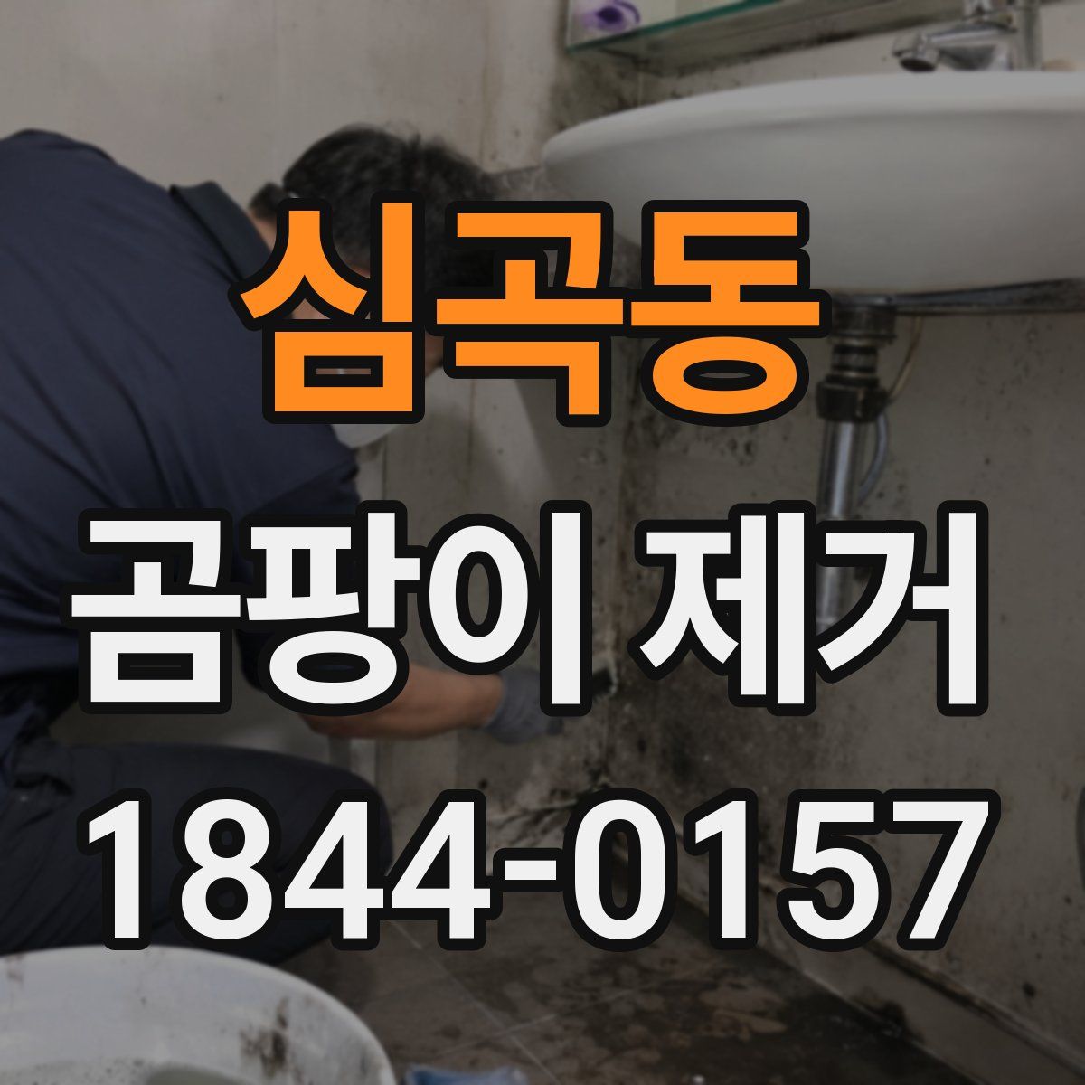 심곡동 곰팡이 제거