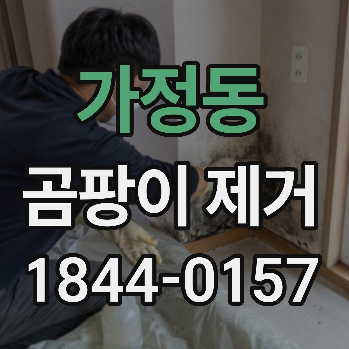가정동 곰팡이 제거
