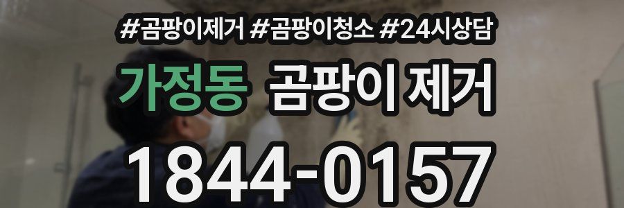가정동 곰팡이 제거