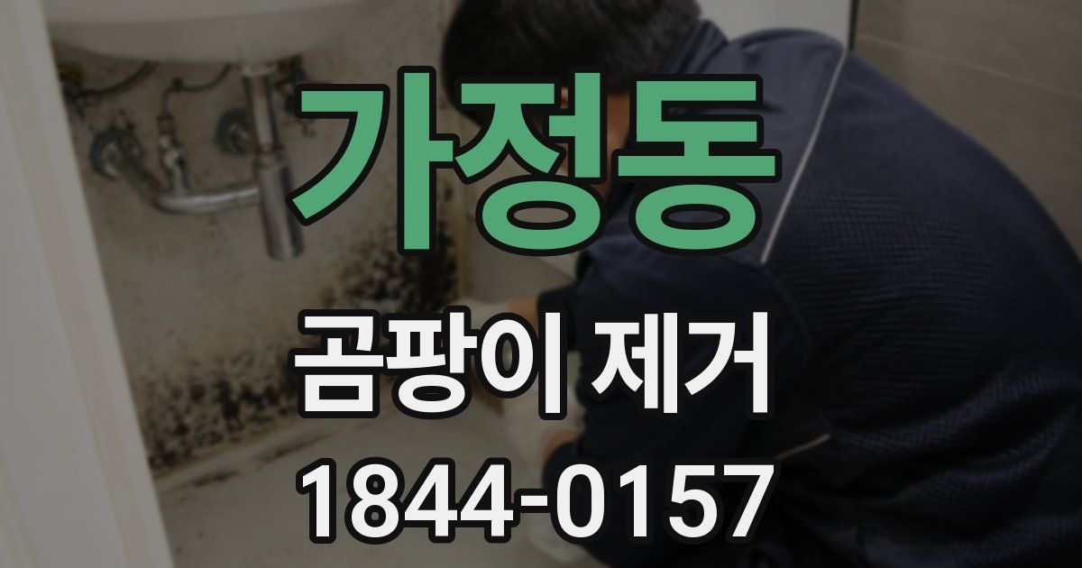 가정동 곰팡이 제거