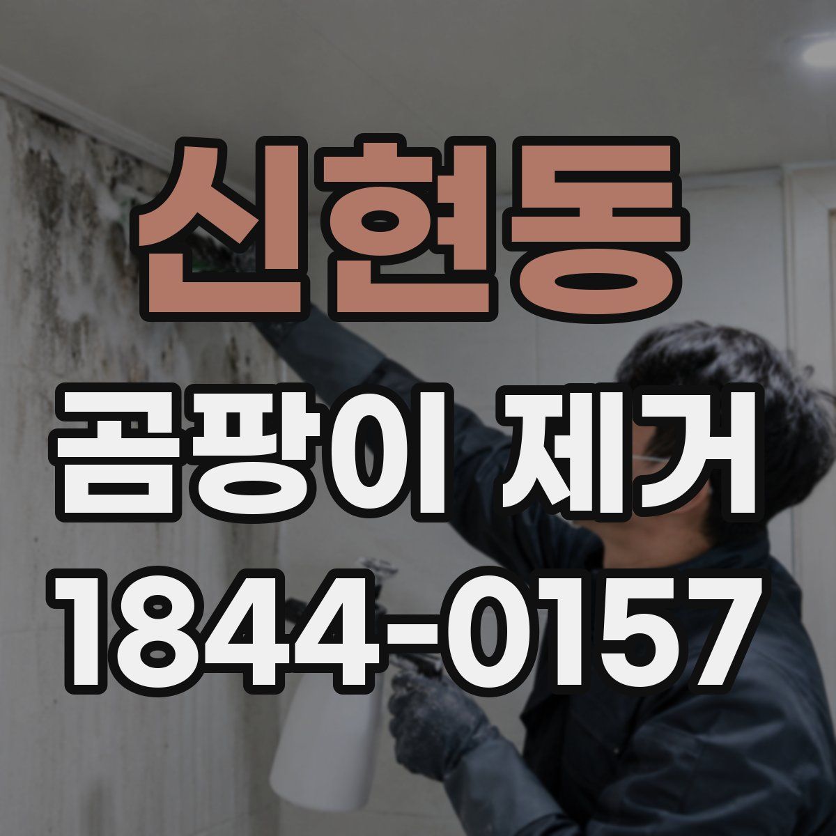 신현동 곰팡이 제거