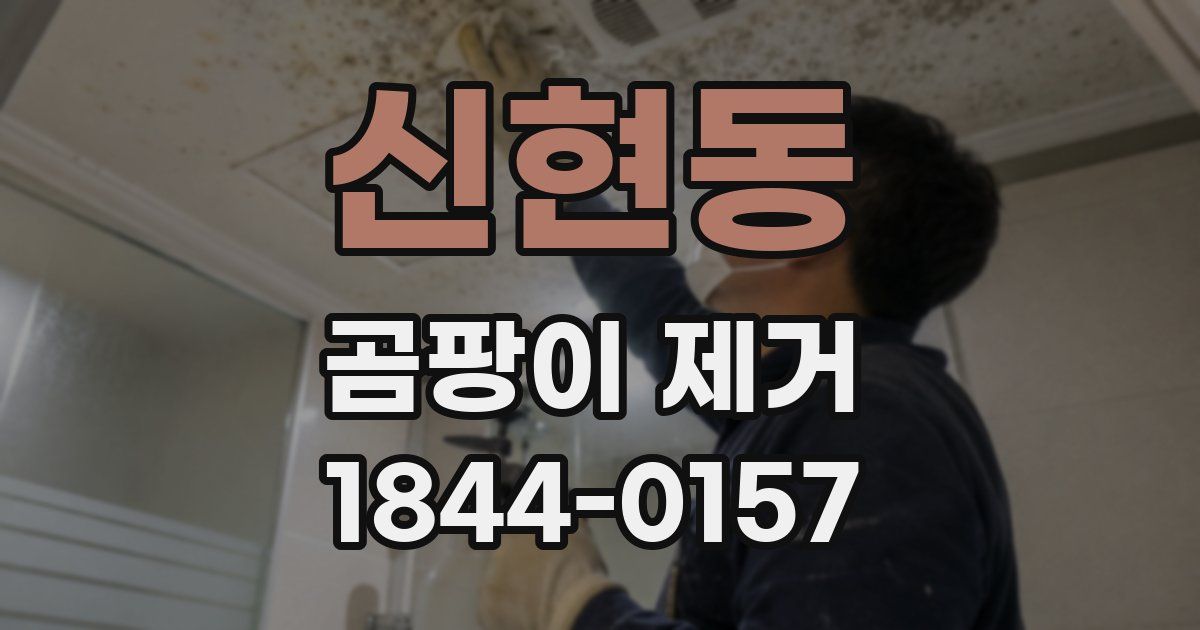 신현동 곰팡이 제거