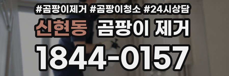 신현동 곰팡이 제거