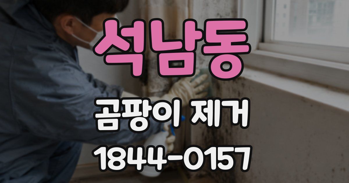 석남동 곰팡이 제거