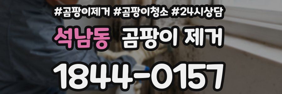 석남동 곰팡이 제거
