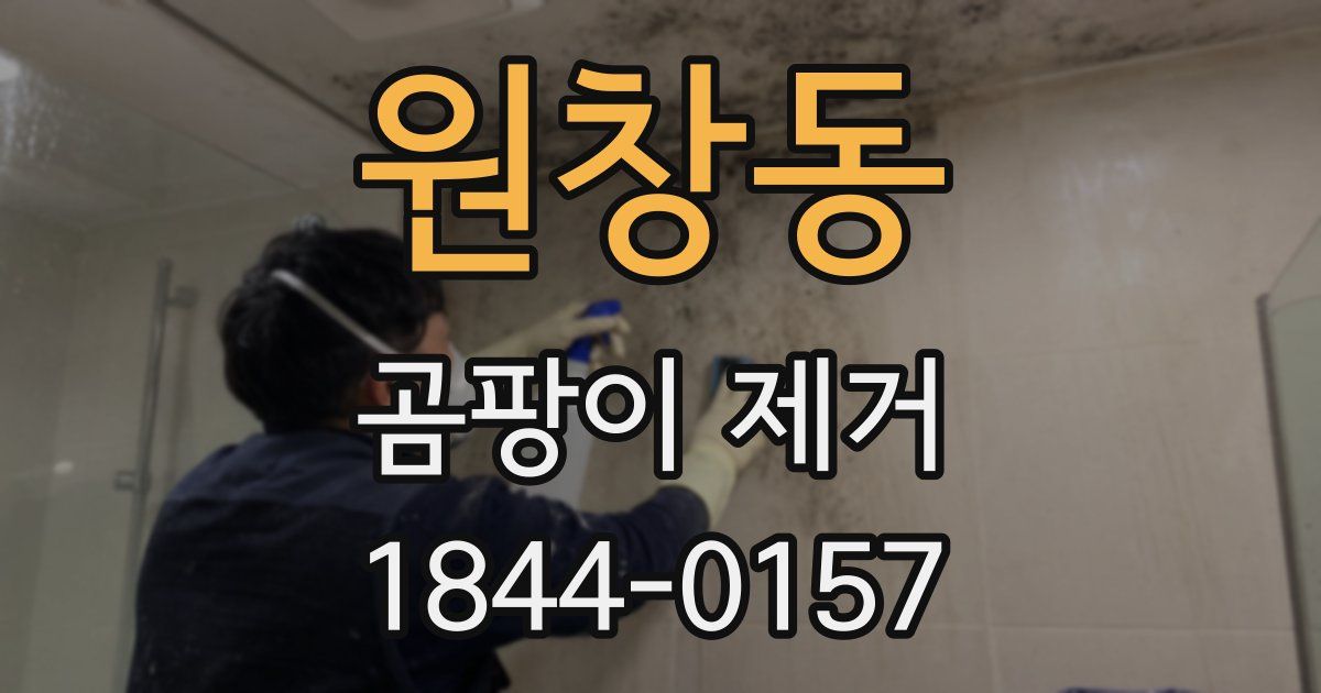 원창동 곰팡이 제거
