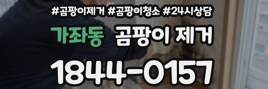 가좌동 곰팡이 제거