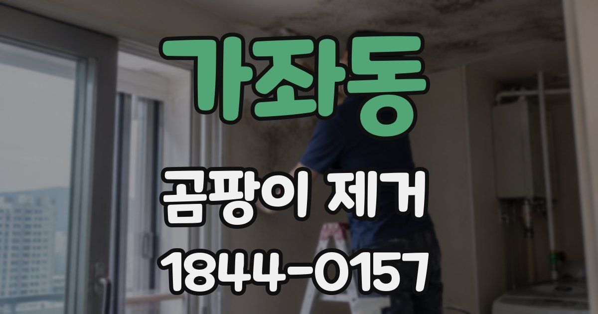 가좌동 곰팡이 제거