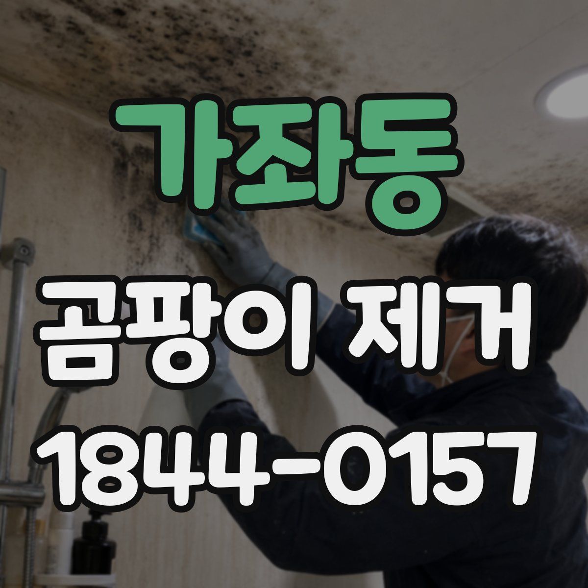 가좌동 곰팡이 제거