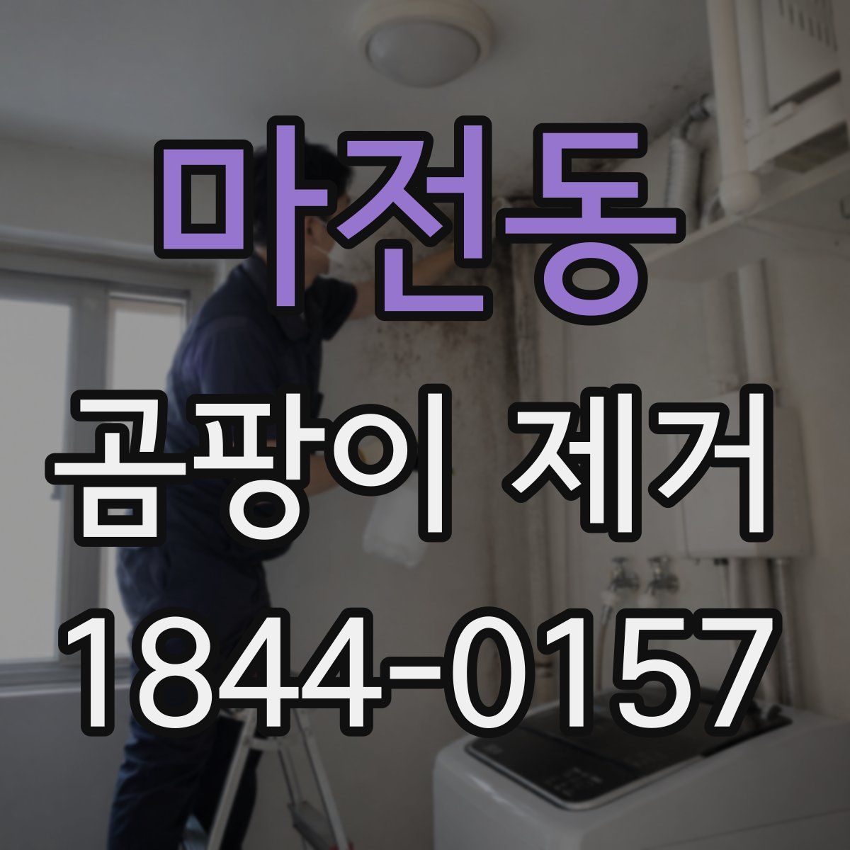 마전동 곰팡이 제거