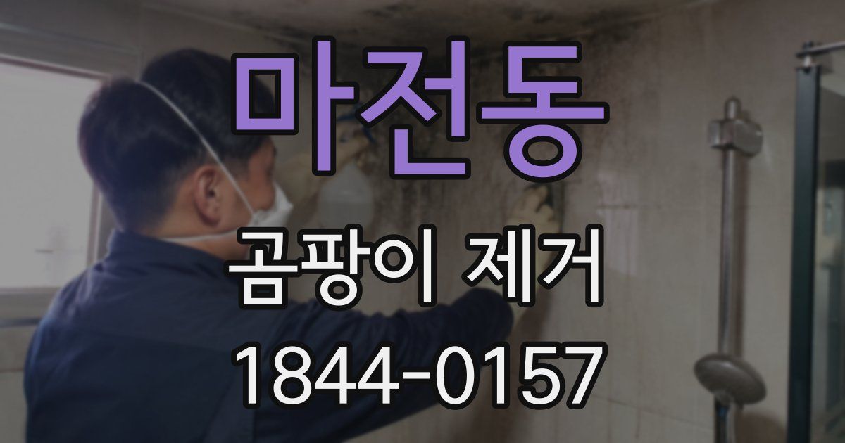 마전동 곰팡이 제거