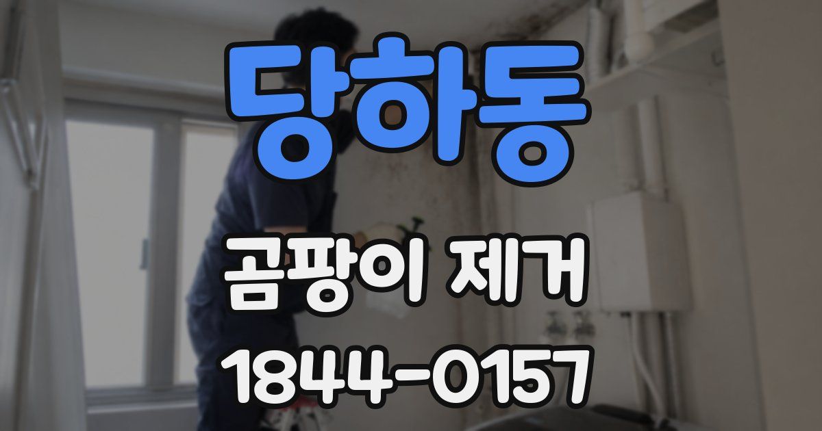 당하동 곰팡이 제거