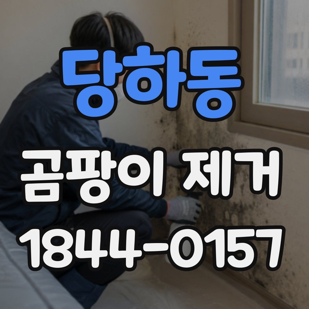 당하동 곰팡이 제거