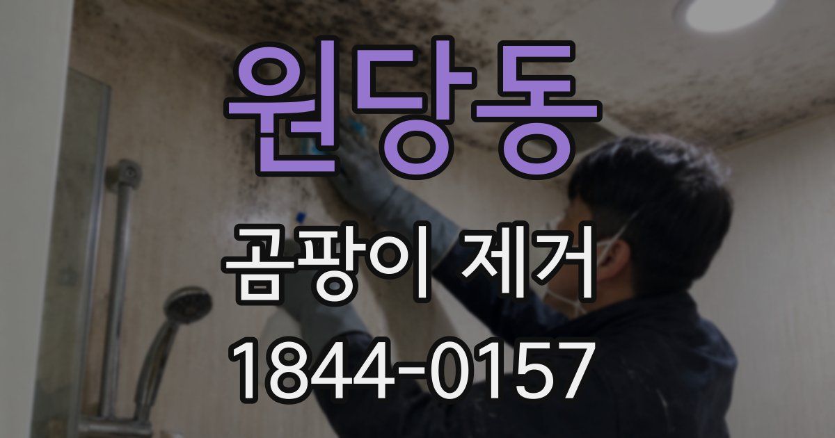 원당동 곰팡이 제거
