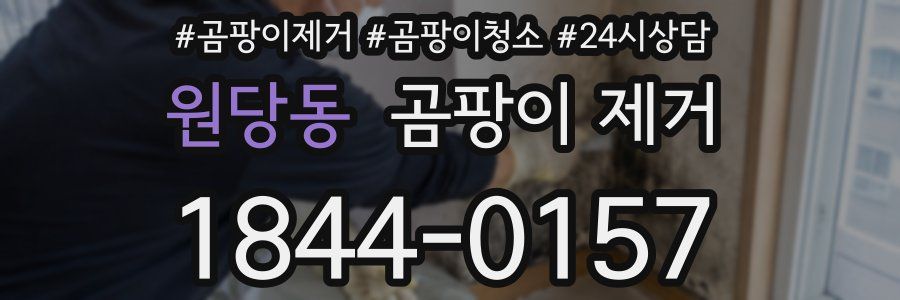원당동 곰팡이 제거