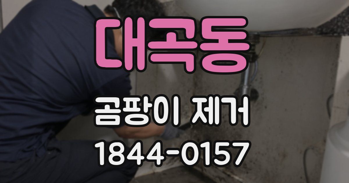 대곡동 곰팡이 제거