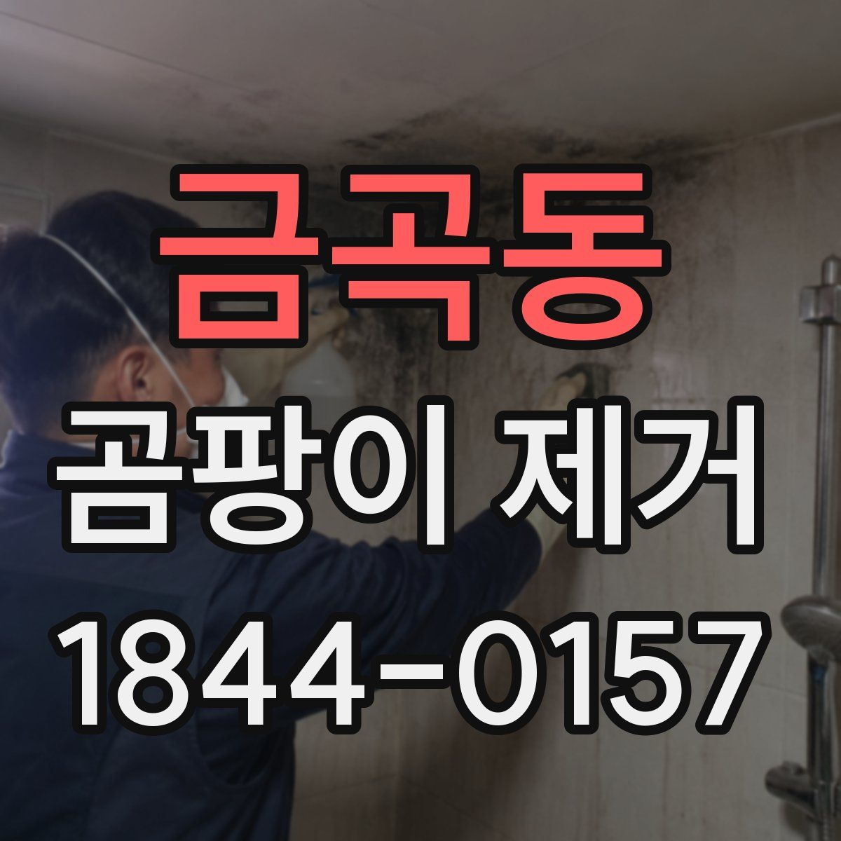 금곡동 곰팡이 제거