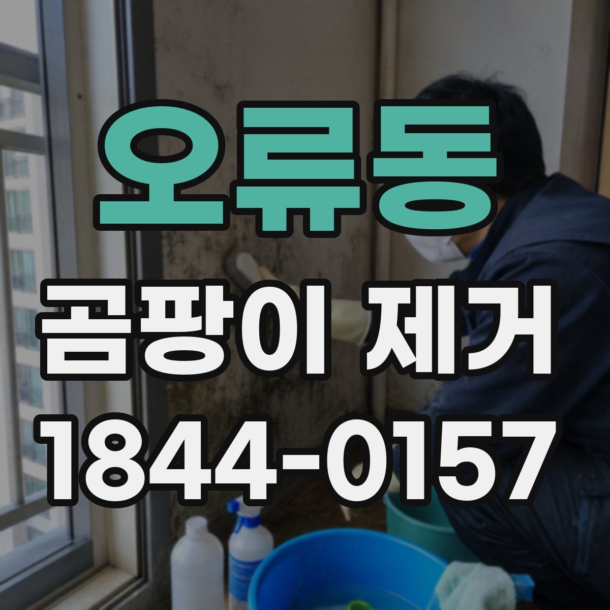 오류동 곰팡이 제거