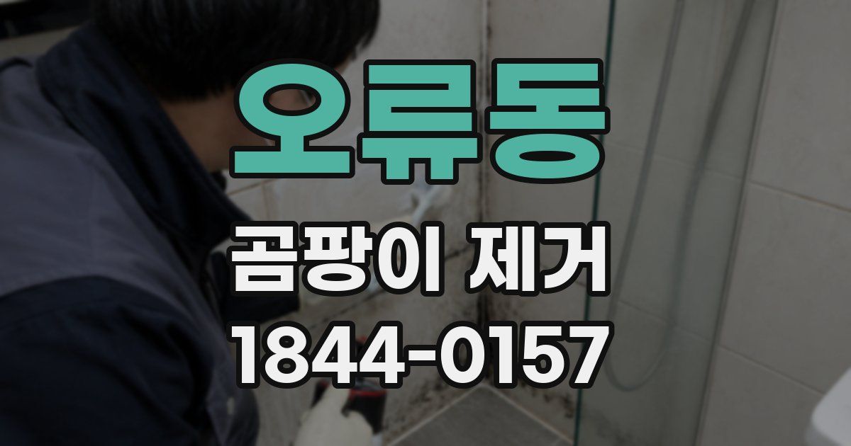 오류동 곰팡이 제거